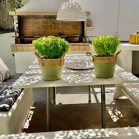 Rodia & Apartament