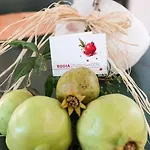 דירה Rodia & *