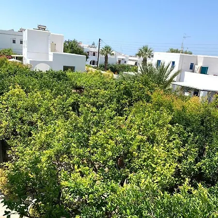 Rodia & Apartment