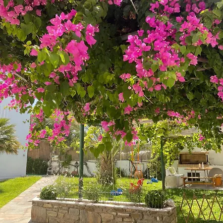 Apartment Rodia &