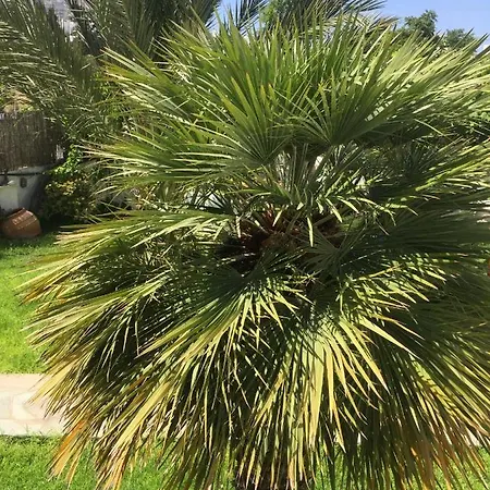 Rodia & * Parikia (Paros)